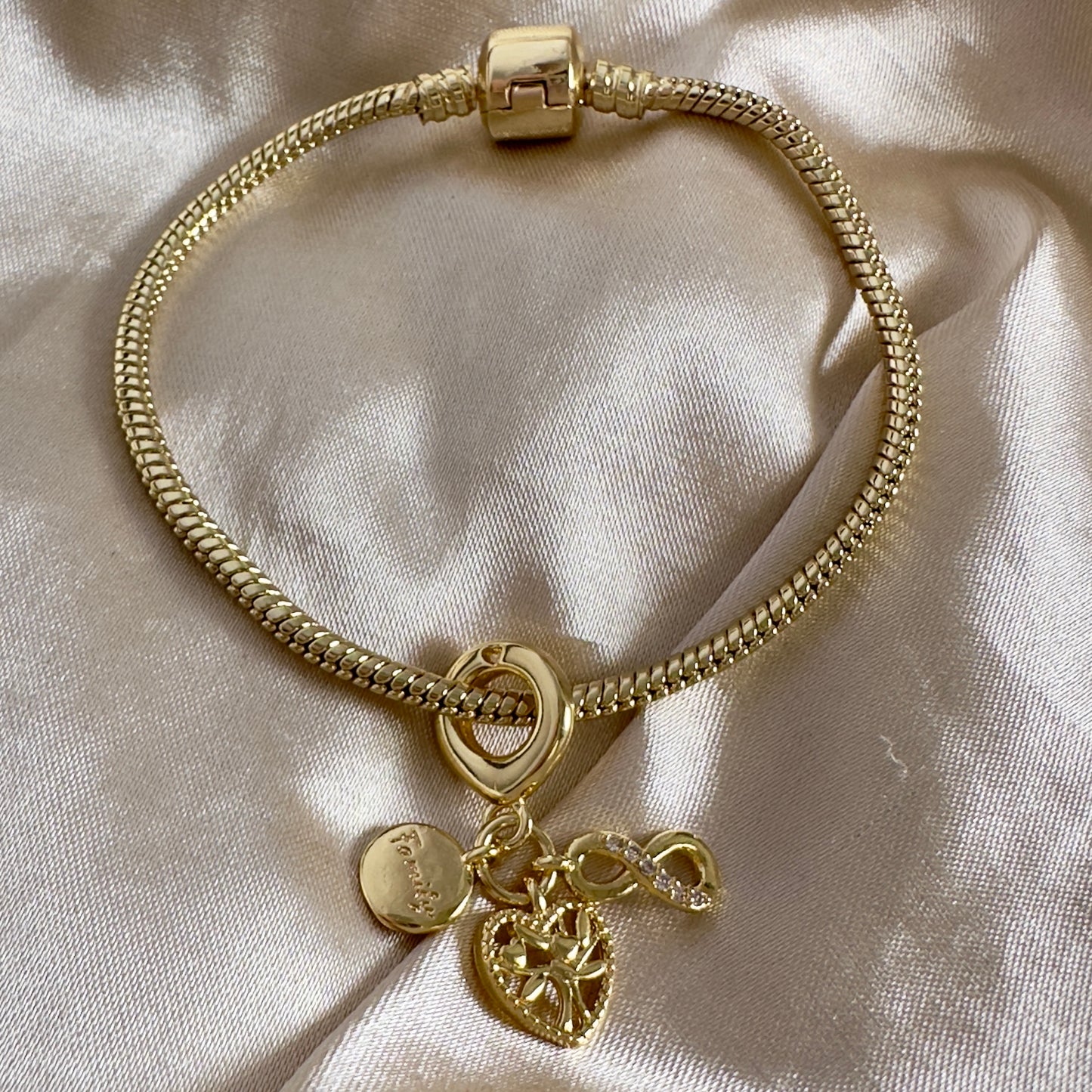 Brazalete family