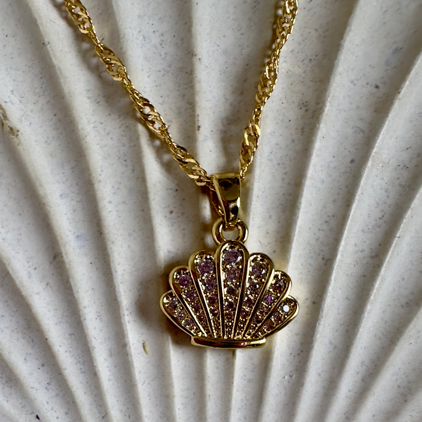 Cadena Conchita de mar circones