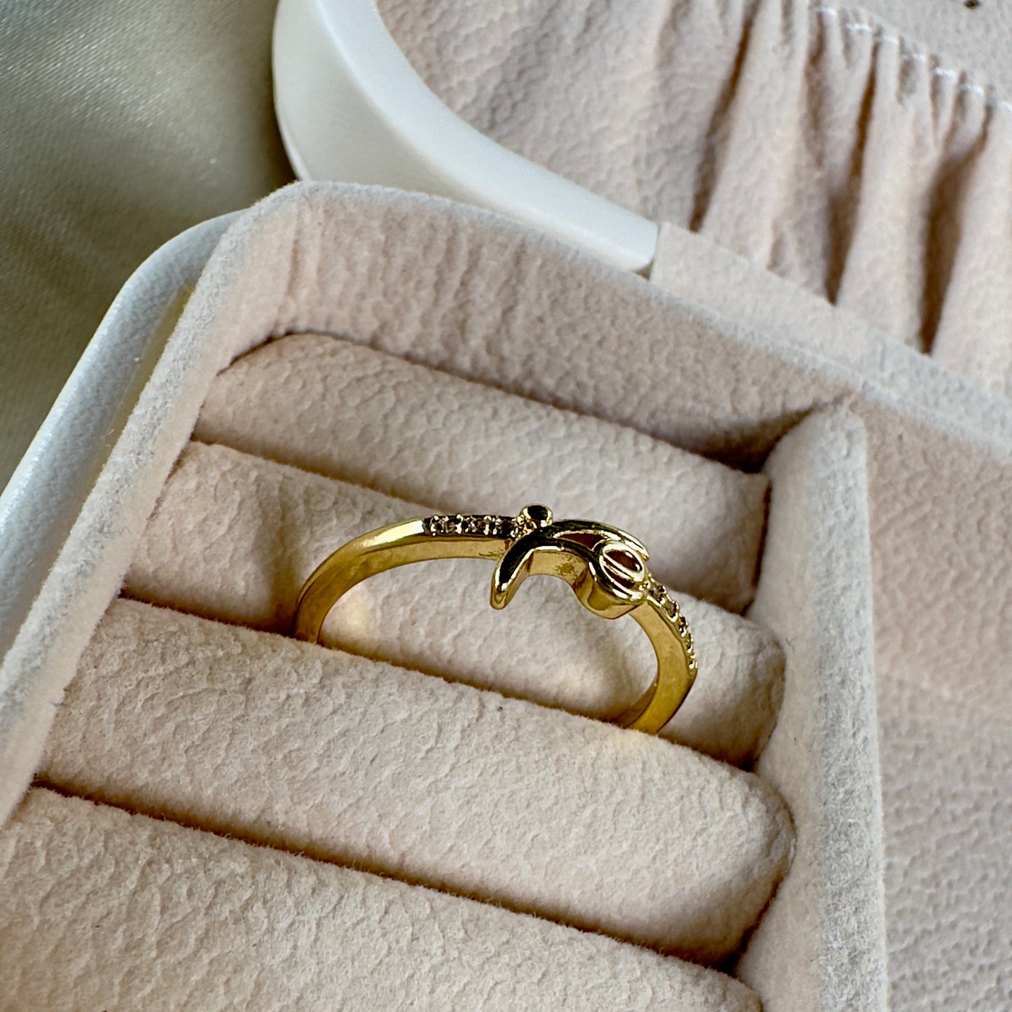 Anillo fe