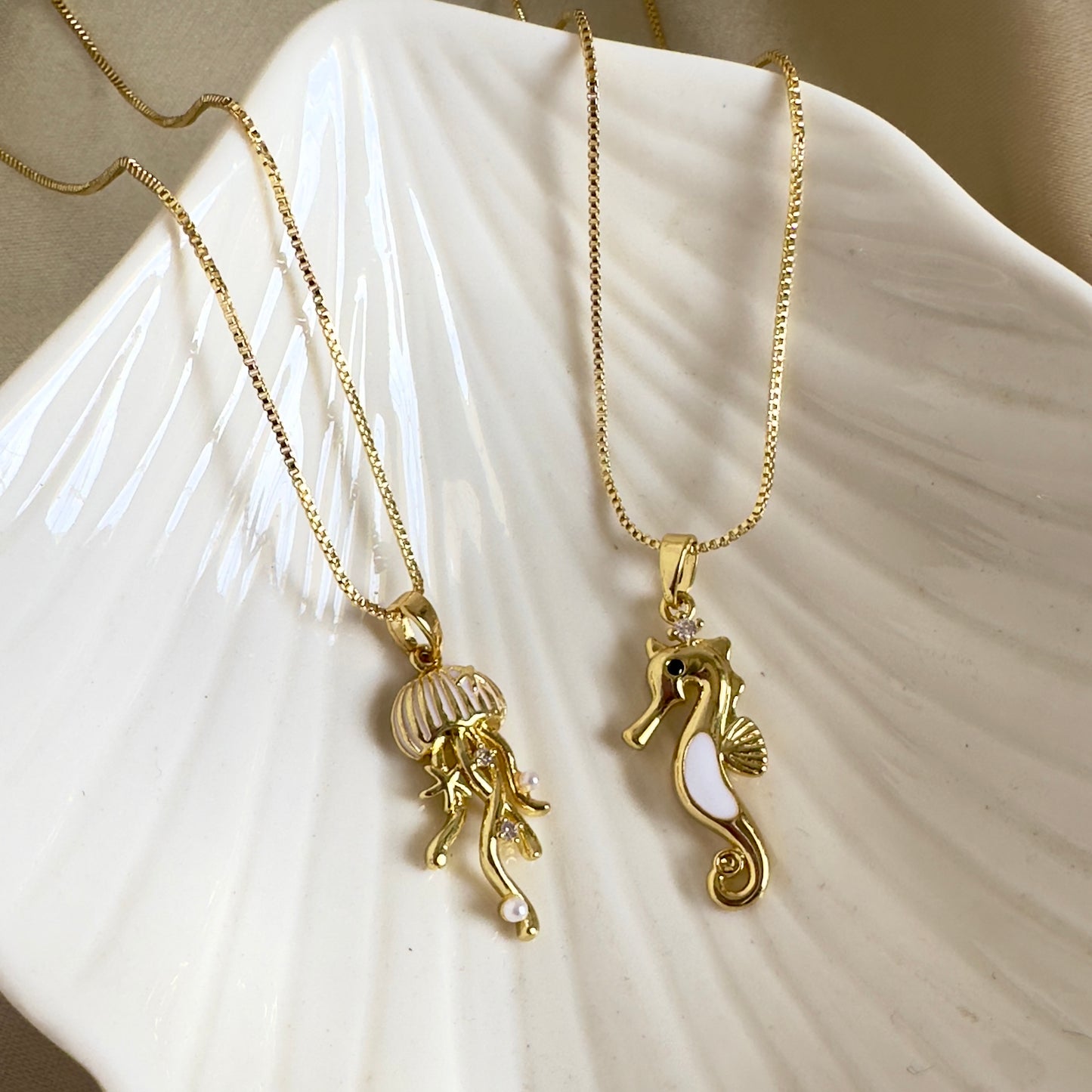 Cadena medusa y caballito de mar