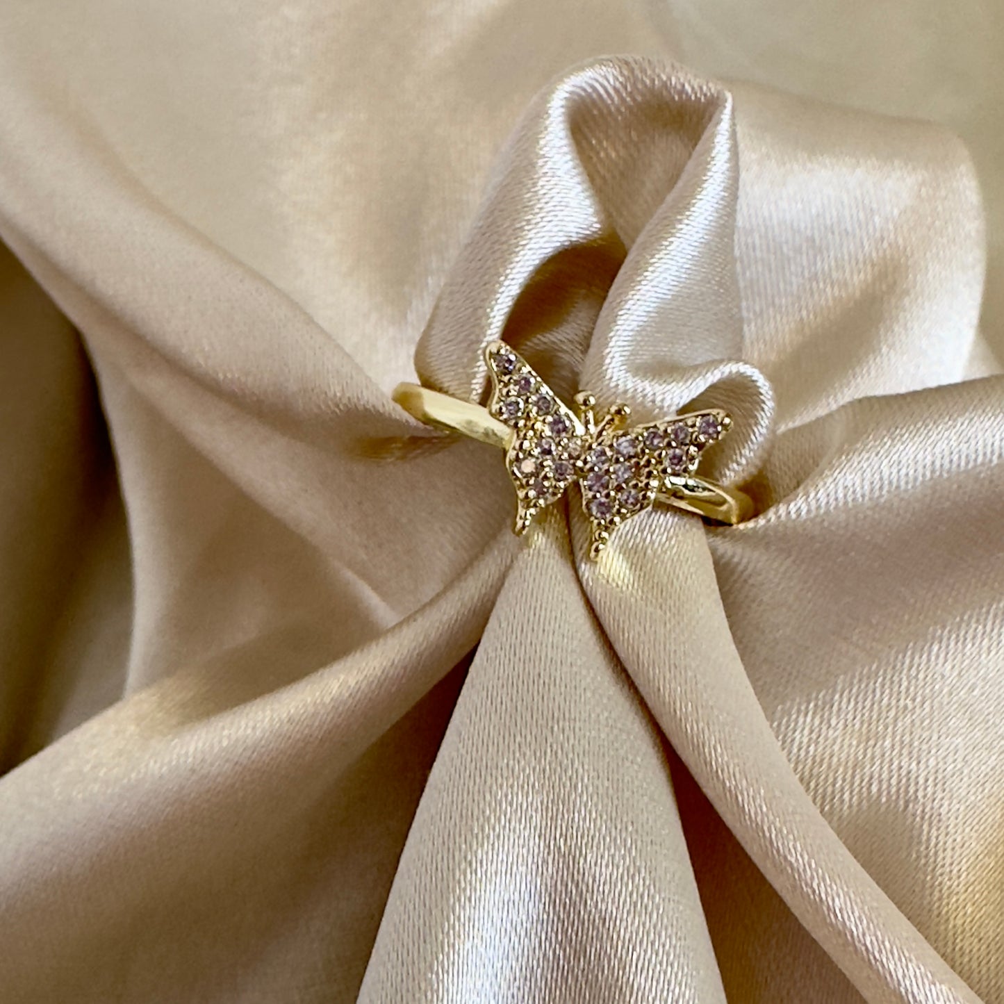 Anillo mariposa circones