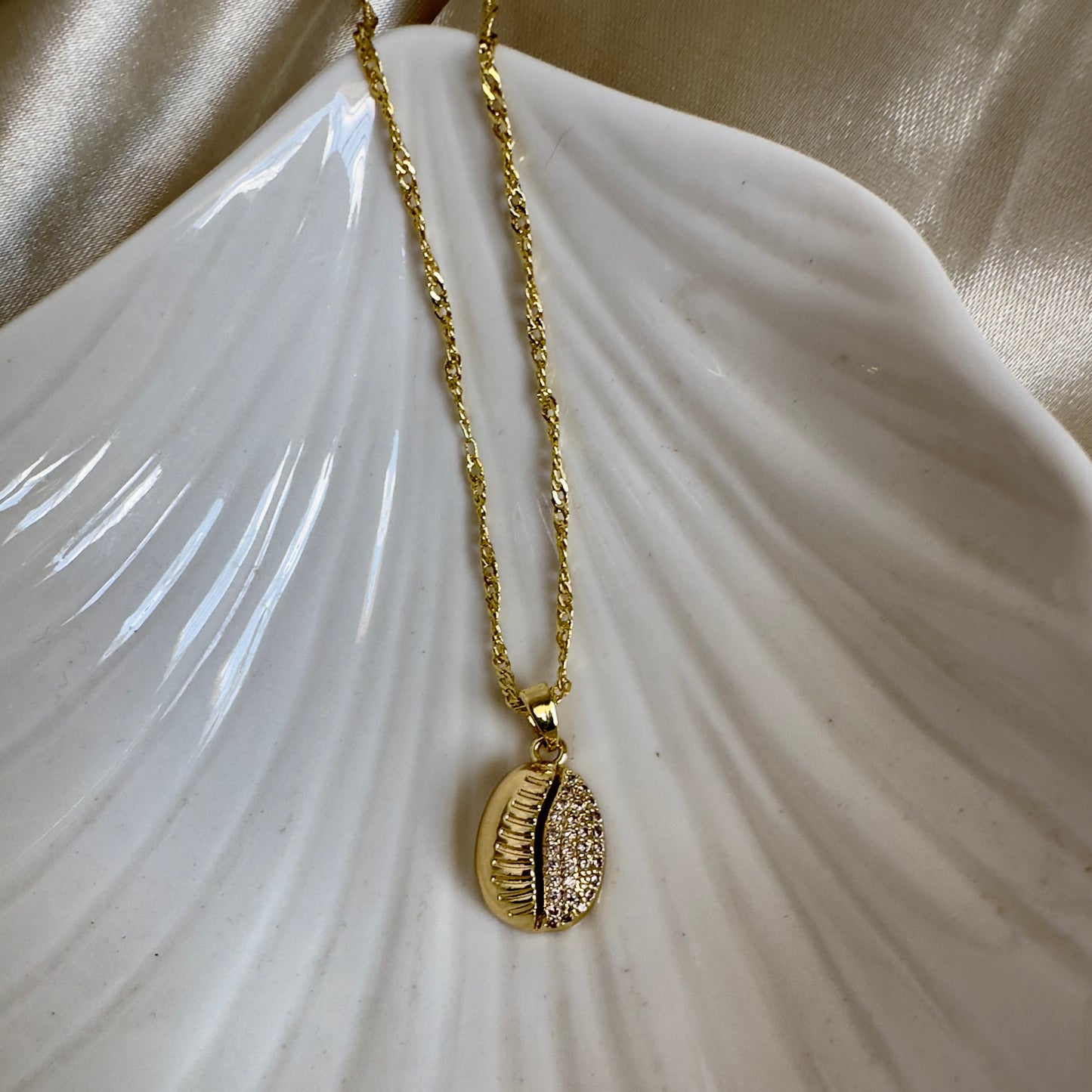 Cadenas conchita de mar