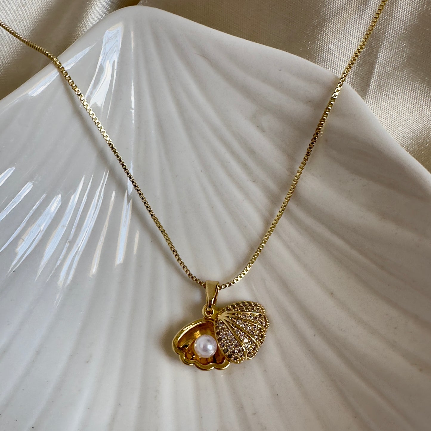 Cadenas conchita de mar