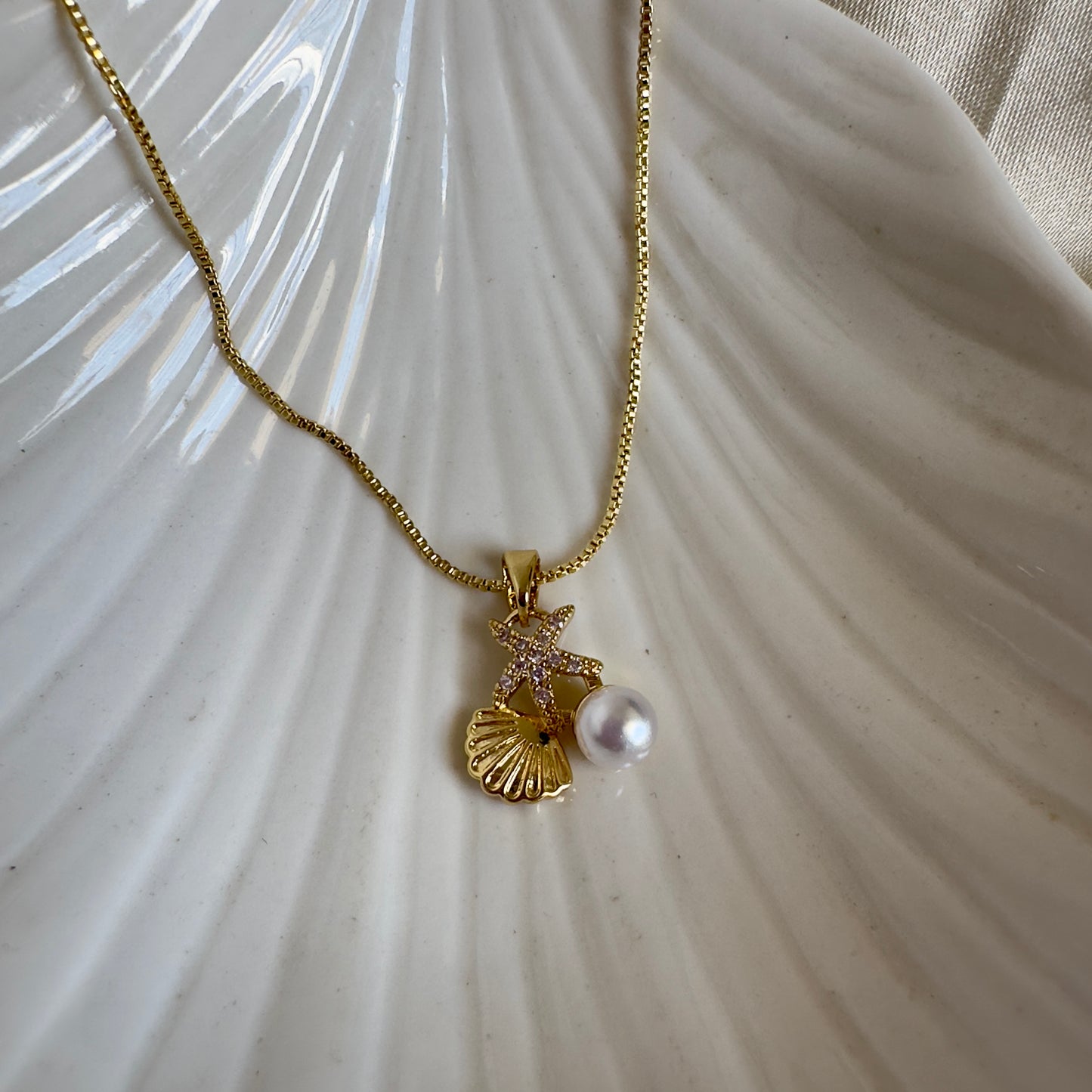 Cadenas conchita de mar