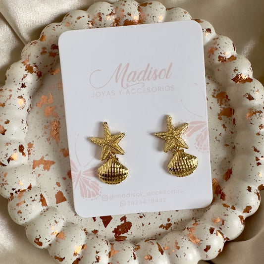 Topos estrella y concha de mar