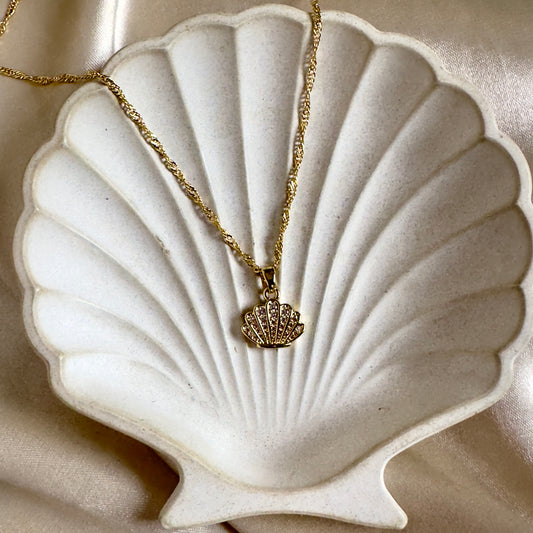 Cadena Conchita de mar circones