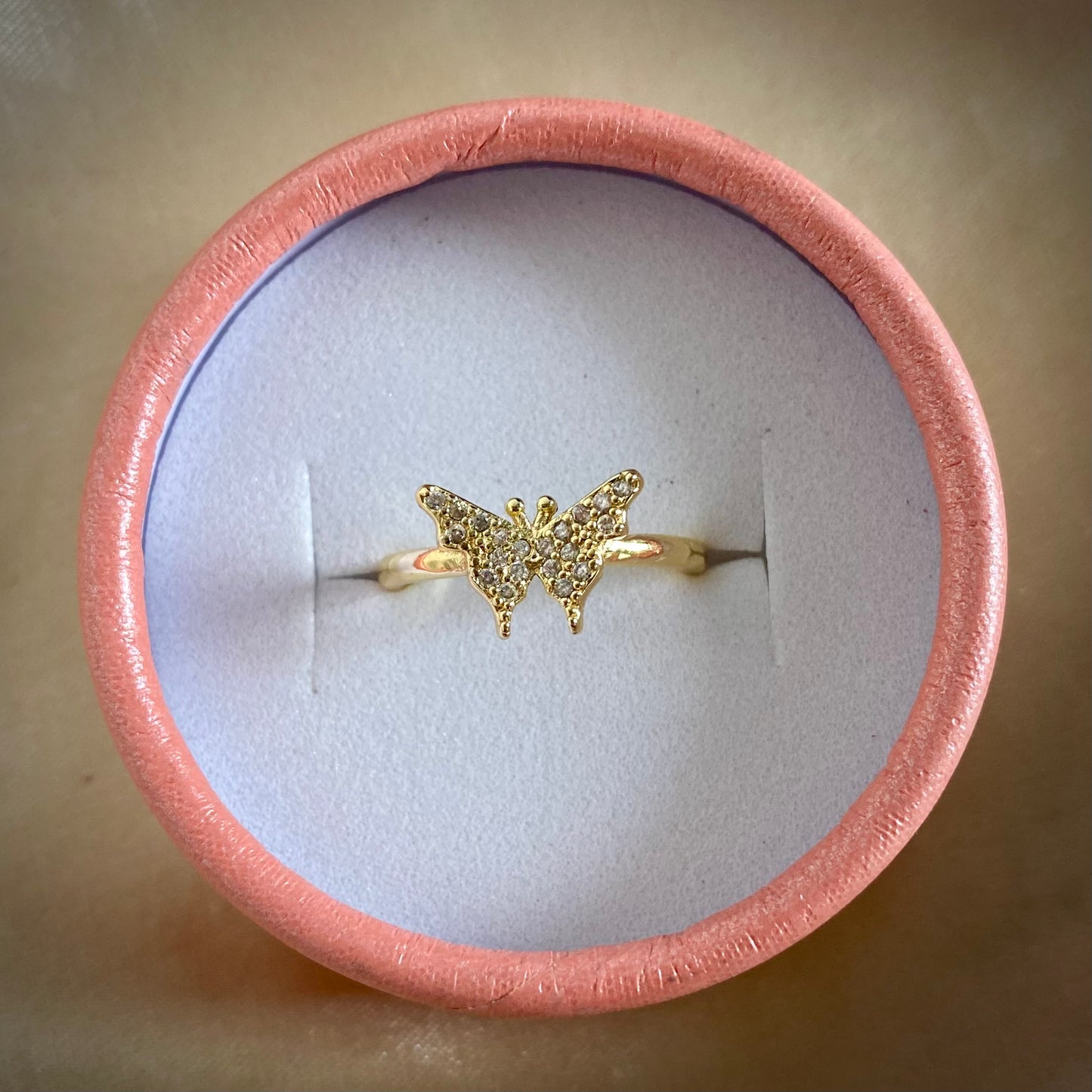 Anillo mariposa circones