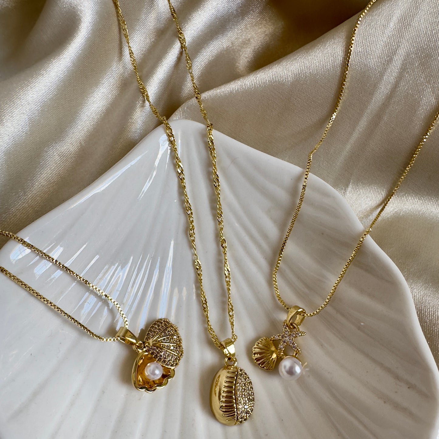 Cadenas conchita de mar